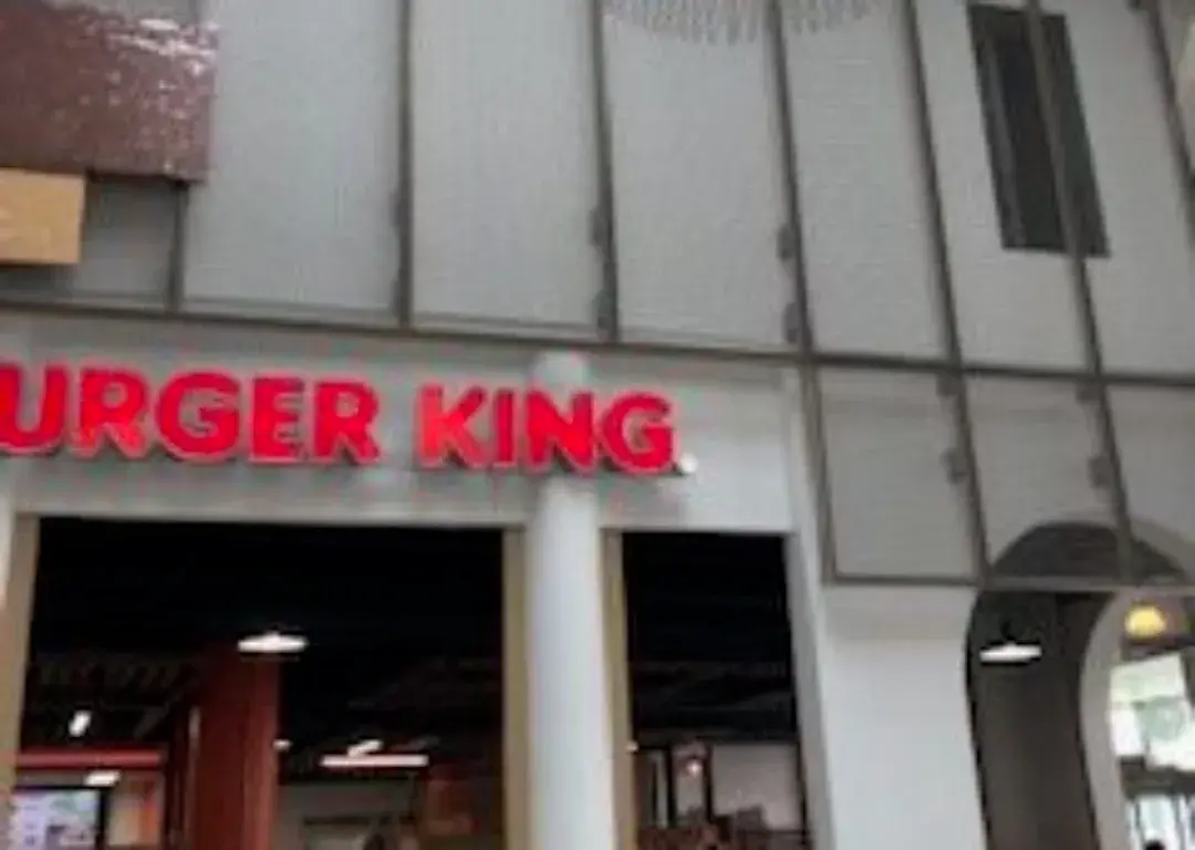 Assago Food Court - Expanded Metals installation (photo 6)