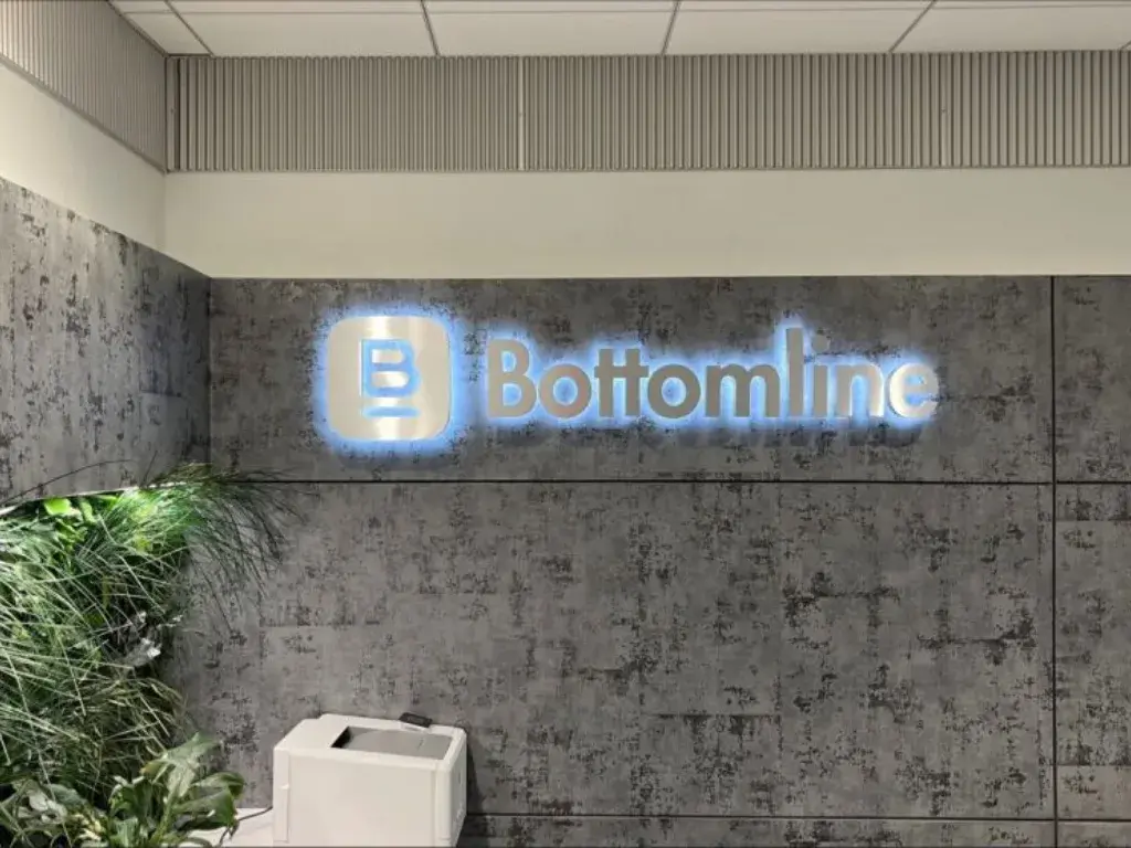 Bottomline - Embossed Metals installation (photo 4)