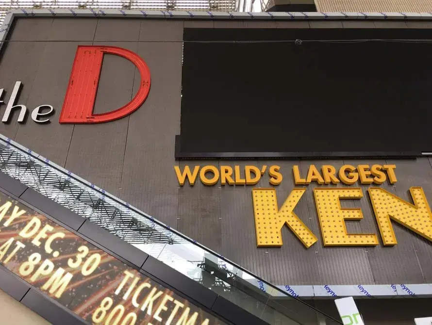 The D - Woven Mesh installation (photo 3)