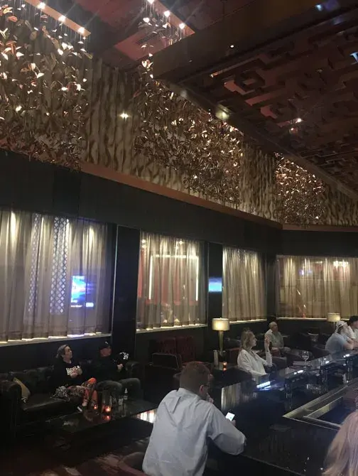 Tropicana Las Vegas Casino Hotel Resort - Woven Mesh installation (photo 3)