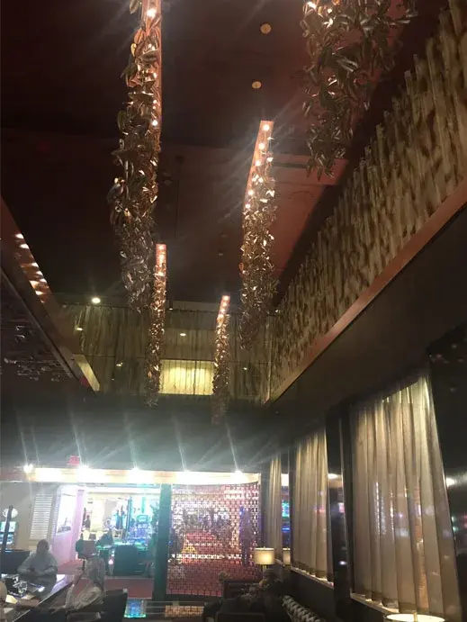 Tropicana Las Vegas Casino Hotel Resort - Woven Mesh installation (photo 4)